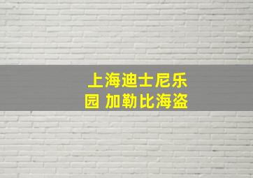 上海迪士尼乐园 加勒比海盗